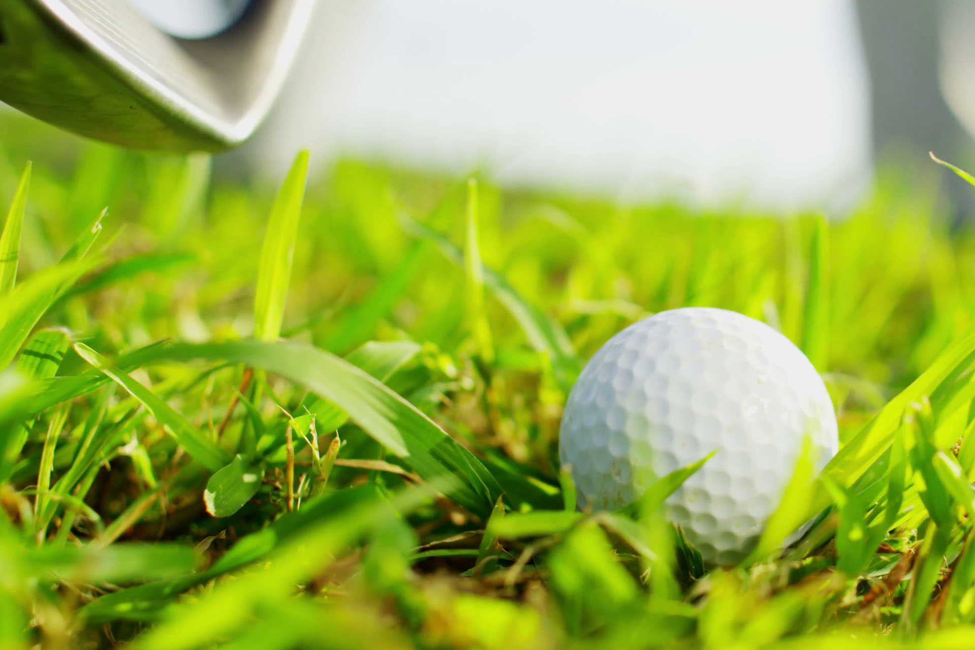 Chipping Green Sherry golf Jerez